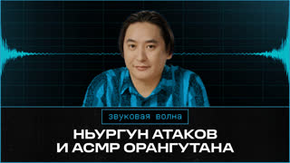 Ньургун Атаков  и ACMP орангутана | Фастмуд