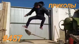 Приколы июнь 2019 №457